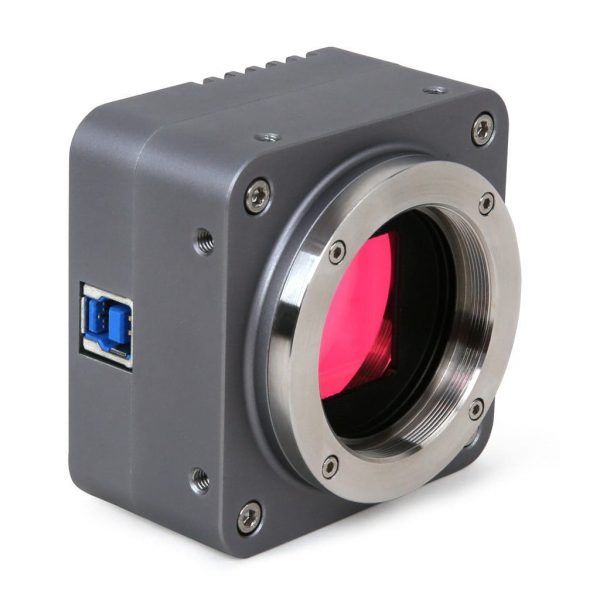 BigEye_1-1024x1024-min