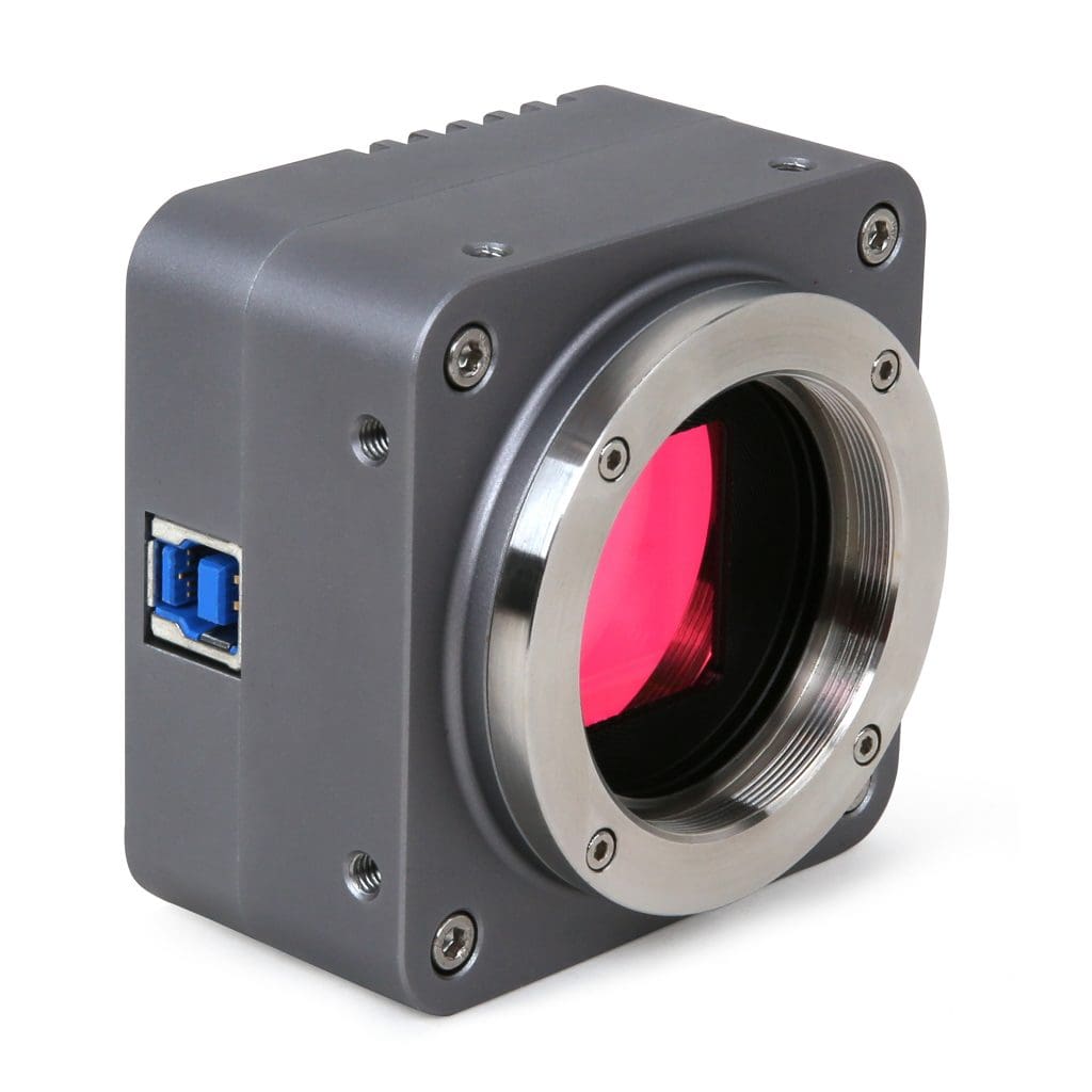 BigEye_1-1024x1024-min