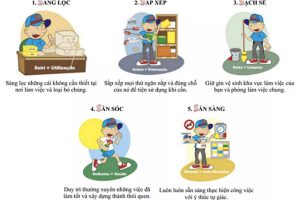 5S là gì? Quy trình 5S được triển khai như thế nào – 3D Vina